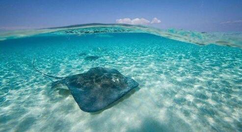 什么是離岸公司,離岸公司有什么優缺點? 什么是離岸公司,離岸公司有什么優缺點?