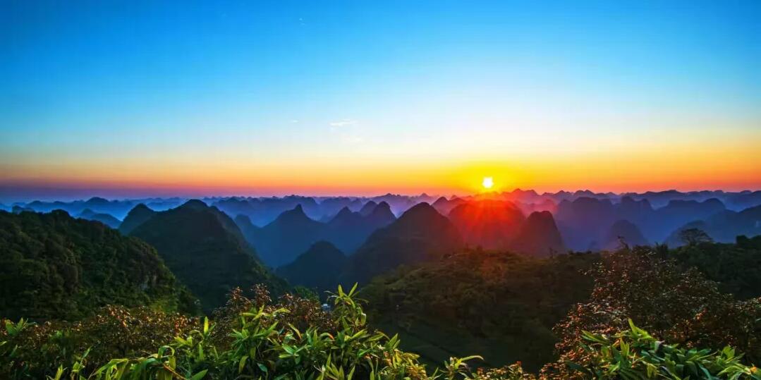 稅籌,還是稅坑? 稅籌,還是稅坑?