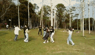 三月春意昂·結伴探春風——君林企業踏青活動掠影 