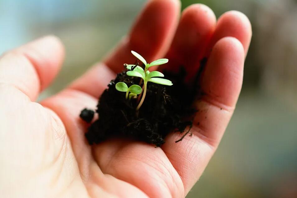 香港可作為不同新制度的試點,細數香港作為金融中心的那些優勢 香港可作為不同新制度的試點,細數香港作為金融中心的那些優勢