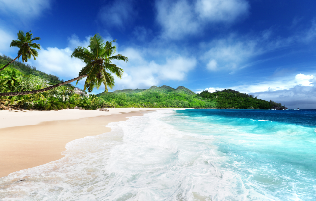 塞舌爾公司的基本架構和規定有哪些?