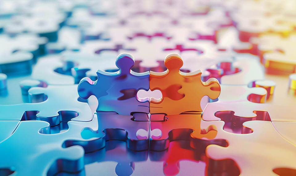 香港公司在國內設立子公司，促進經濟合作與發展