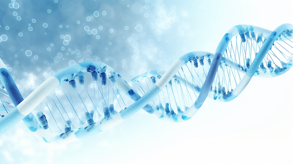 香港BVI公司年審指南：確保合規與順利運營的關鍵步驟